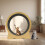 Cat Wheel Cat Exercise Wheel Cat Exercise Wheel for Indoor Cats 7