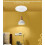 (Zigbee) Tuya Embedded  ZigBee3.0/Wifi 24G MmWave Radar Human Presence Motion Sensor  Light Switch Luminosity Detection 4