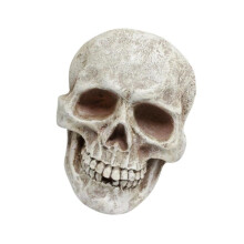 Human Skull Statue Decorative Skeleton Head Ornament for Shelf Cabinet Patio