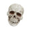Human Skull Statue Decorative Skeleton Head Ornament for Shelf Cabinet Patio 1