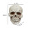 Human Skull Statue Decorative Skeleton Head Ornament for Shelf Cabinet Patio 2