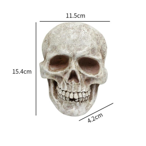 Human Skull Statue Decorative Skeleton Head Ornament for Shelf Cabinet Patio 1