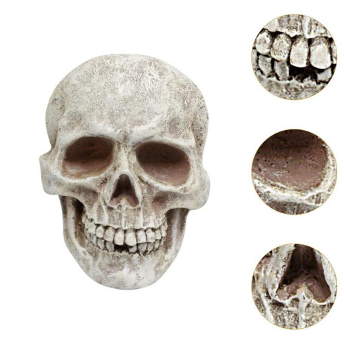Human Skull Statue Decorative Skeleton Head Ornament for Shelf Cabinet Patio 2