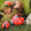 9 Pieces Ladybug Statue Micro Landscape Cute for Desktop Balcony Living Room 4