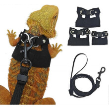 Bearded Dragon Harness and Leash Set Outdoor Harness for Squirrels Hamsters