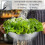 Colander Stainless Steel,AcserGery Kitchen Colander Strainer Set With 4