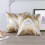 2 Pack Soft Decorative Square Throw Pillow Covers Cushion Covers Pillowcases Acsergery Gift 4