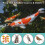 Fine Mesh Pond Net - Bird Protection, Garden, and Fruit Tree Net 3