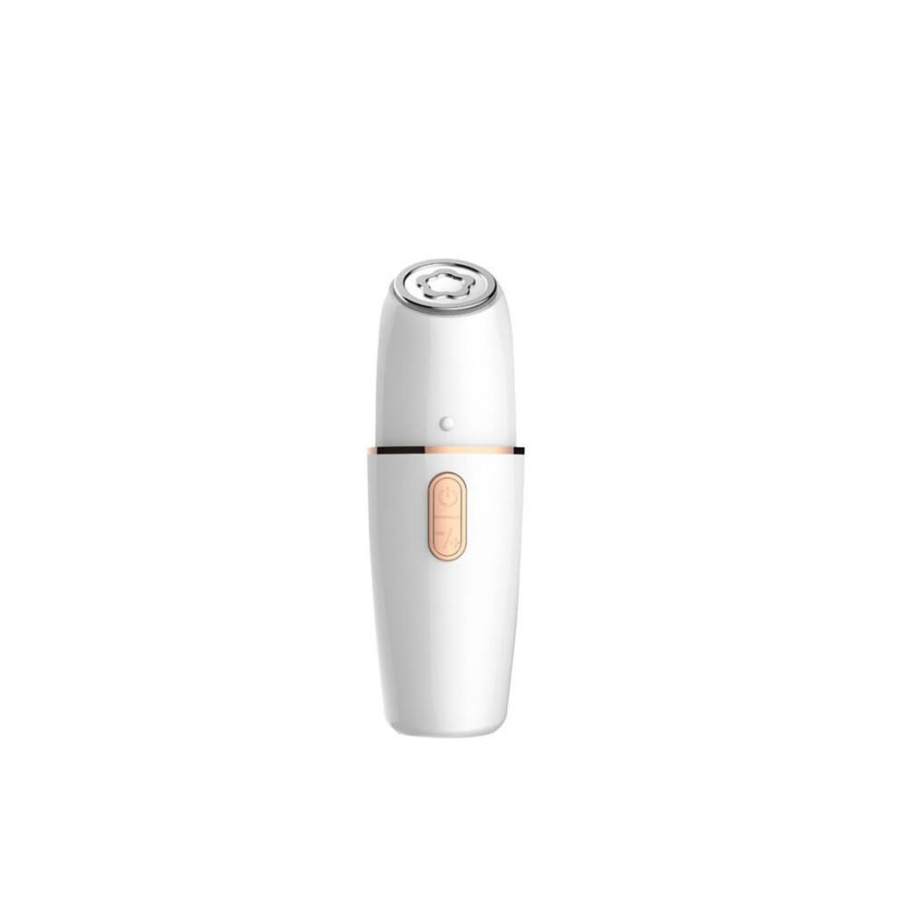Chronus White Face Massager Rf Radio Frequency Beauty Instrument Home Microcurrent Introduction Instrument Facial Hydration Lifting Firming(White)