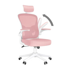 naspaluro Office Desk Chair with Flip-Up Armrest High Back Ergonomic Computer Chair with Adjustable Headrest and Lumbar Support Executive Swivel Chair