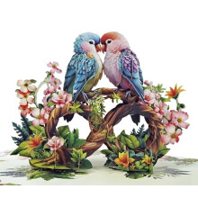 CUTPOPUP Parrot Couple - Anniversary Cards, Love Gifts Card for Her, Him, Husband, Wife, Couple, Boyfriend, Girlfriend, Kids, 3D Wedding Anniversary,