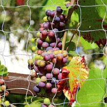 (As show, One size) Plant bracket climbing garden bracket net planting tent 1.6 * 20m (white), heavy-duty polyester garden plant climbing net soft mesh rope
