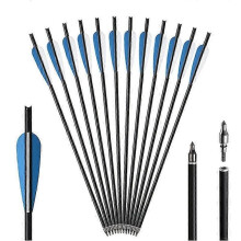 Crossbow Bolts Crossbow Arrows 16 20 22 Inch Carbon Hunting Archery Arrows with 4 Inch Vanes And Replaced Arrowhead Tips (pack Of 12)