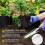 Weed Puller Tool, 2025 Upgraded 13inch Wooden Handle Gardening Weeding Tool 3