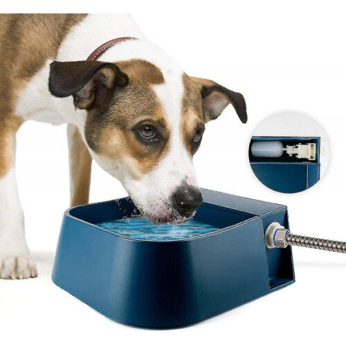 Float Pet Drinker Automatic Dog Drinker Float Drinker with Float Valve for Dog