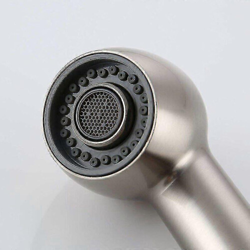 Faucet Sprayer Head 2