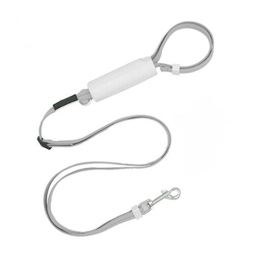 Adjustable Dog Leash Automatic Flexible Dog Rabbit Cat Traction Rope Belt