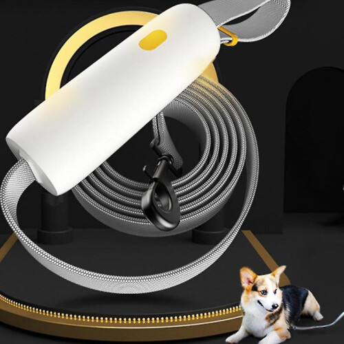 Adjustable Dog Leash Automatic Flexible Dog Rabbit Cat Traction Rope Belt 1