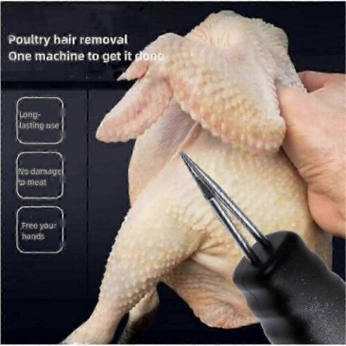 (Plug-in mode EU plug) Electric Poultry Feather Plucker Rechargeable Small Chicken Plucker Machine 2