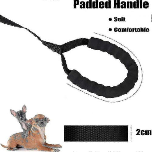 30m Long Dog Leash with Padded Handle for Training and Tracking (Black, 30m) 1