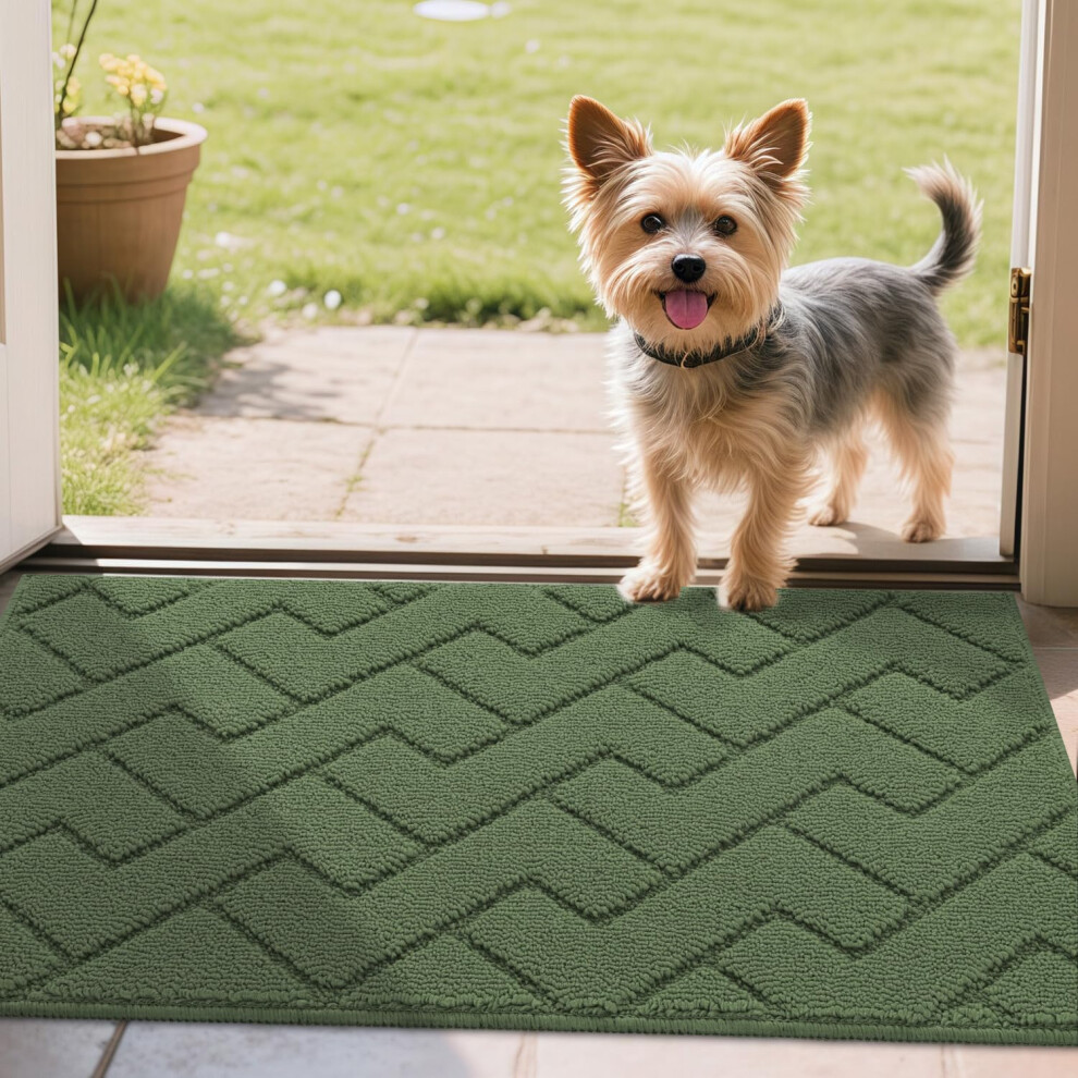 Biscpro Door Mats Indoor, Dirt Trapper Mat Absorbent Non-Slip Low Profile Doormat For Entrance, Inside, Kitchen, Front Door Mat Washable For Pets And