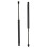 Car Rear Hatch Lift Supports Shock for 4