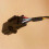 Rear View Camera Reverse Camera for Kia Rio 2018-2020 5
