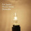 G4 halogen lamps 20W 12V - Warm white - 20 pcs 3