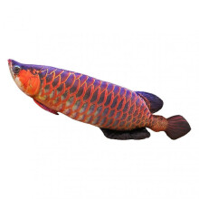 (1M, Purple) Fish Soft Back Cushion Golden Arowana Red Carp Doll Plushies Companion Sleep Pillow Stuffed Sea Animal Simulation Fish Plush Toy
