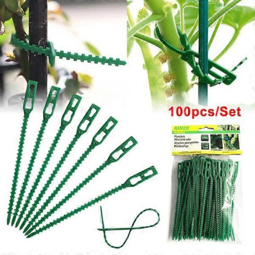 50/100 pcs Reusable plastic support clamps clamps s Hanging Vine 100pcs 2
