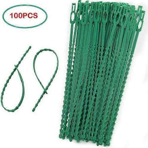 50/100 pcs Reusable plastic support clamps clamps s Hanging Vine 100pcs