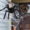(90cm) Halloween Spider Decorations, Realistic Hairy Giant Spider Props 5