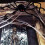 (200cm) Halloween Spider Decorations, Realistic Hairy Giant Spider Props 4