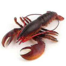 Sea Lifelike Lobster Fish Statue Model Figurine for House Room Tabletop Decorred1pcs