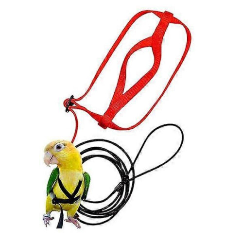 IC Bird harness Adjustable parrot leash Bird rope XS