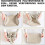 8 piece set waterproof suitcase Organizer 4