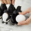 3-in-1 Cook, Store and Serve Egg Holder, Penguin Shape B 5