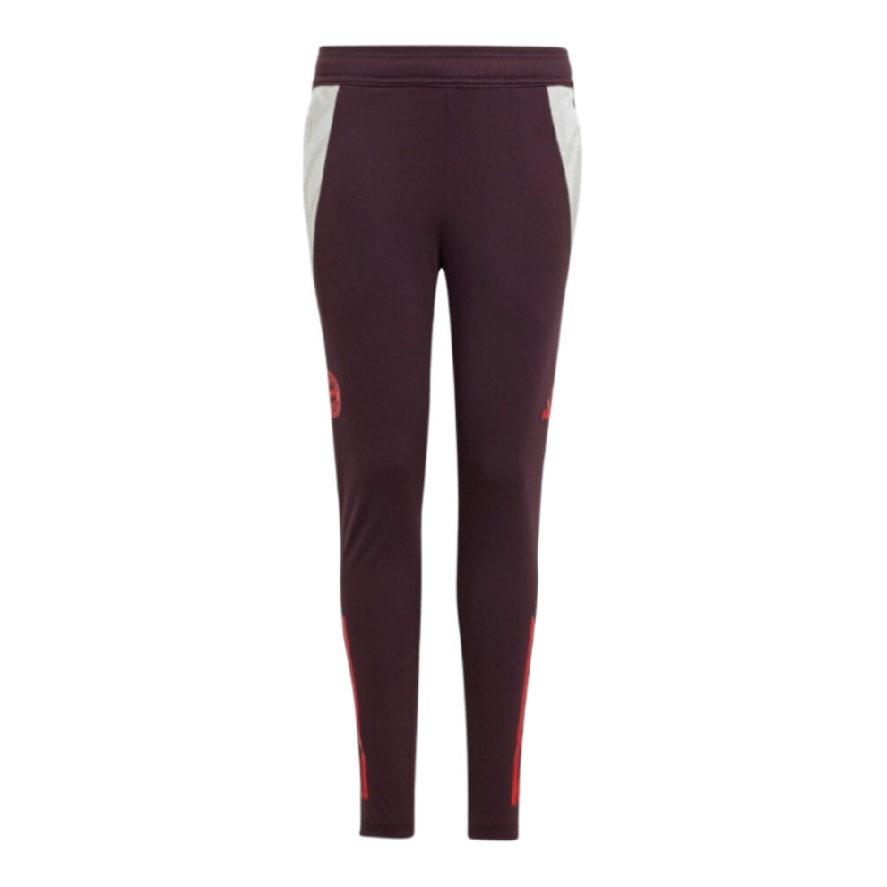 Adidas (Mb) 2024-2025 Bayern Munich Training Pants (Shadow Maroon) - Kids