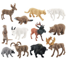 Procyon Lotor Puma Model North American Wildlife Collect Education Displays For