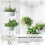 Adhesive Ceiling Hook - No Drill Hanging Hook with Safety Clasp for Plants, Heavy Duty Stick-On Hook 3