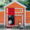 Automatic Chicken Coop Door, Light Sensor, Evening And Morning Light Sensor, Automatic Chicken Coop Door 3