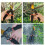 Professional Titanium Bypass Pruning Shears Super Sharp Premium Garden Shears 6