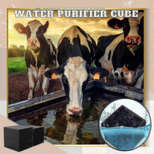 Highefficiency Water Purification Filter with Activated Carbon Cubes 1