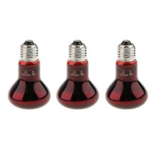 3 Pcs Reptile Amphibian Nightlight Infrared Light E27 Base Heat Lamp 75W