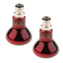 2pcs B22 UVA Heater Reptile Heat Basking Lamp Moonlight Bulb 220V 100W