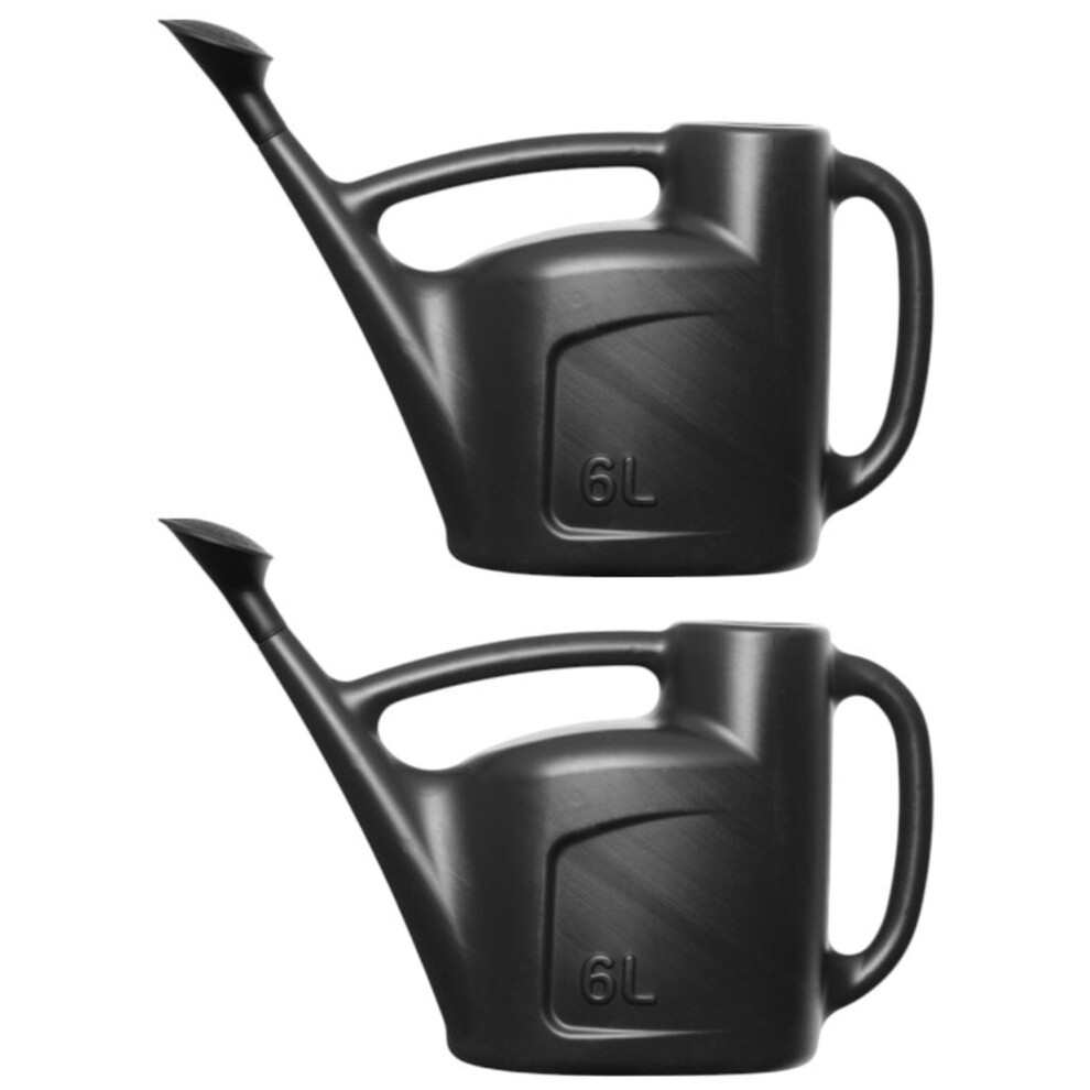 Whitefurze 2X 6L Watering Can Detachable Sprinkler Rose Garden Watering Can Black