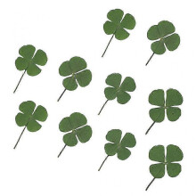 10 Pcs Mini Dried Four Leaf Clover DIY Resin Crafts UV Accessories Home Decor