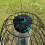 Selections Large Squirrel Proof Hanging Bird Feeder Protection Cage 4