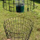 Selections Large Squirrel Proof Hanging Bird Feeder Protection Cage 5