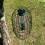 Selections Large Squirrel Proof Hanging Bird Feeder Protection Cage 6